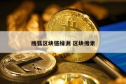 搜狐区块链绿洲 区块搜索