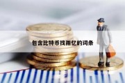 包含比特币找雨忆的词条