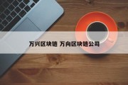 万兴区块链 万向区块链公司