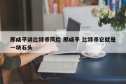 郎咸平讲比特币风险 郎咸平 比特币它就是一块石头