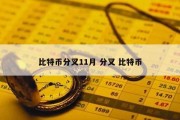 比特币分叉11月 分叉 比特币